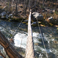 The slippery bridge