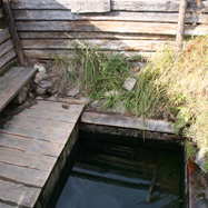 The snake hot spring